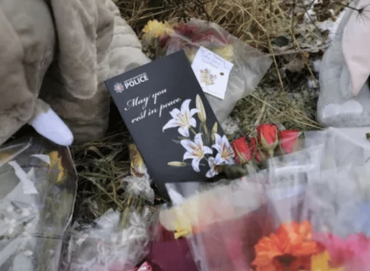 Baby Found in Snowy Field May Have Been Kept in Fridge for Years ? UKNIP